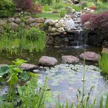 Stream