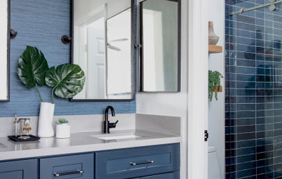 https://st.hzcdn.com/fimgs/71917ab6022a767b_4420-w402-h255-b0-p0--transitional-bathroom.jpg