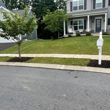 Mulching and Garden Bed Making