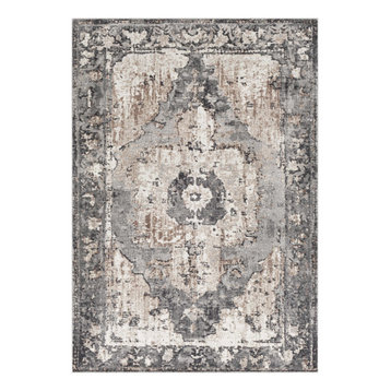 Newalla Updated Traditional  Medallion 7'10" X 10'3" Area Rug