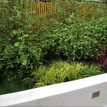 Vertical Garden Designs - La Jolla