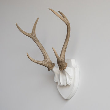 Deer Antler Mount, White Antlers And Plaque, White, Natural