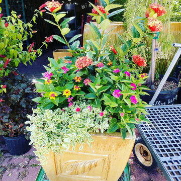 Beautiful Pot Design