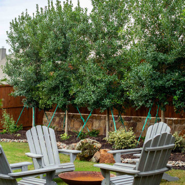 Evergreen Trees & Shrubs