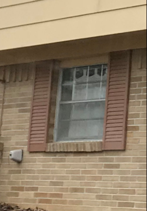 Overwhelmed. Can someone suggest siding/trim colors for my brick?