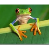 Philippa Thackeray's photo