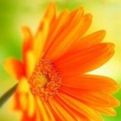 Andrij St's photo