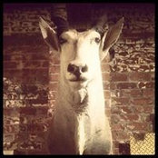 Tony Profeta's photo
