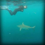 Pim Kneepkens's photo