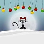 Trish Gray's photo
