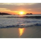 Michele Medlen's photo