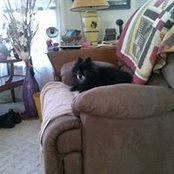Cheryl Breitrick's photo