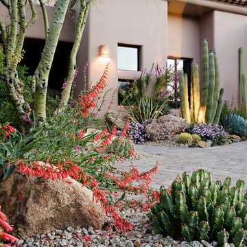 Colorful Desert - Phoenix Home&Garden
