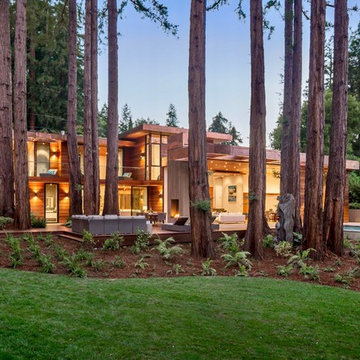 Redwood Grove