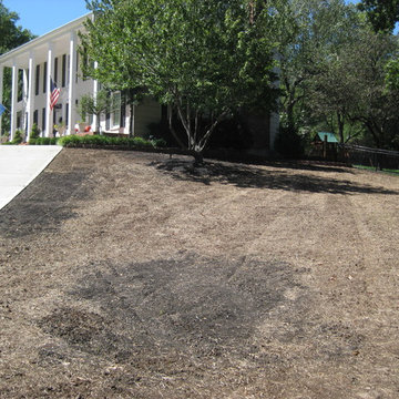 Lawn Rescue Project: Heritage Lawns