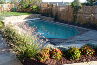 Cette image montre une piscine design.