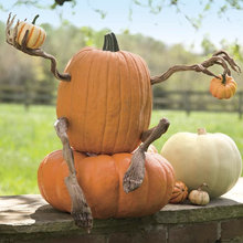 Fall, Thanksgiving, Halloween