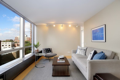 Living room - modern living room idea in Chicago