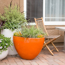 Container gardens, pots and windowboxes