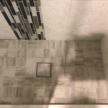 Guest Bathroom Renovation - Spring Valley Village