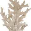 19.29''H Coral Table Lamp