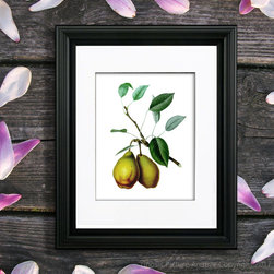Pear Fruit Art prints Kitchen Wall decor ideas - Products