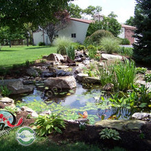 Yards & Gardens