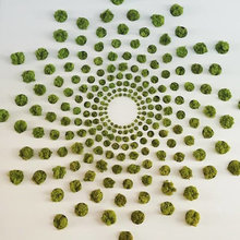 monica_yuen60's ideas