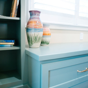 Chapin Home Remodel