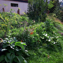 Yardin