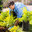 Lansing Tree Trimming & Removal Service