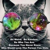 Loredana Chircu's photo
