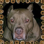 Laurie Summers's photo