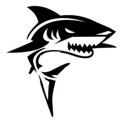 Requin Construction LLC