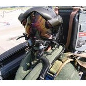 Travis Curtis's photo