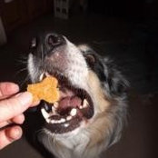 Cindy Masterson-Roth's photo