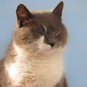 Maria Ivanova's photo