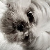Andrew-Lee Moake's photo