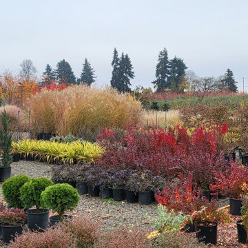 Landscape Projects