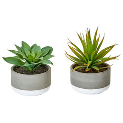 Contemporary Artificial Plants And Trees by WORTH IMPORTS