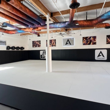 Jujitsu Academy Tenant Improvement