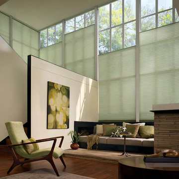 Radiant Energy: Hunter Douglas Duette Architella Honeycomb Shades