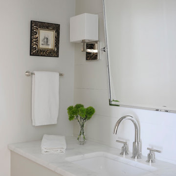 Whole House - Transitional Flat