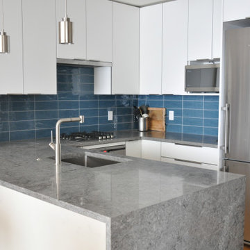 Modern Small Condo Kitchen