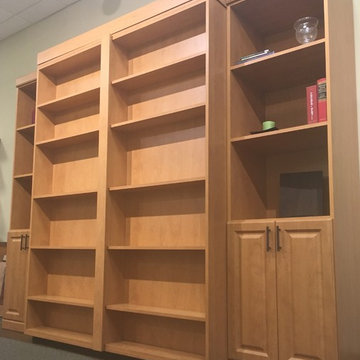 Library & Bookcase Beds