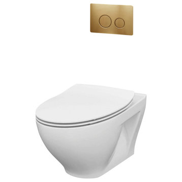 In-Wall Toilet Set, Satin Brass Round Metal Actuators, 2"x4" Carrier & Tank