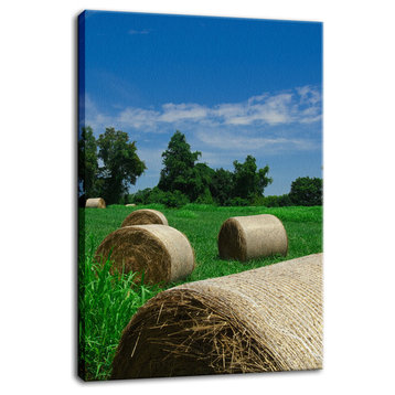 Hay Whatcha Doin in the Field Landscape Photo Canvas Wall Art Print, 12" X 16"
