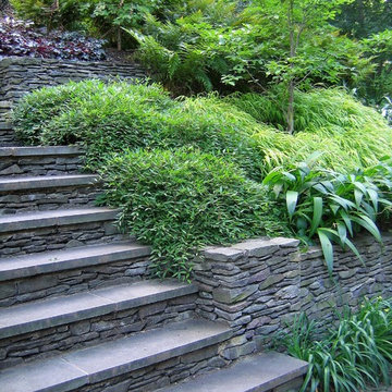 FOCUS: Garden Walls