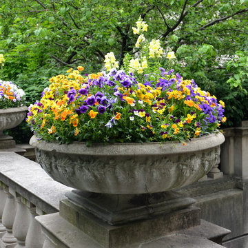 Colorful garden