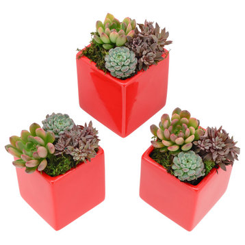 Small Cube Wall Planters, Set of 3, Red, 3.5"x4"